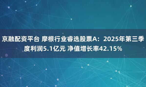 京融配资平台 摩根行业睿选股票A：2025年第三季度利润5.1亿元 净值增长率42.15%