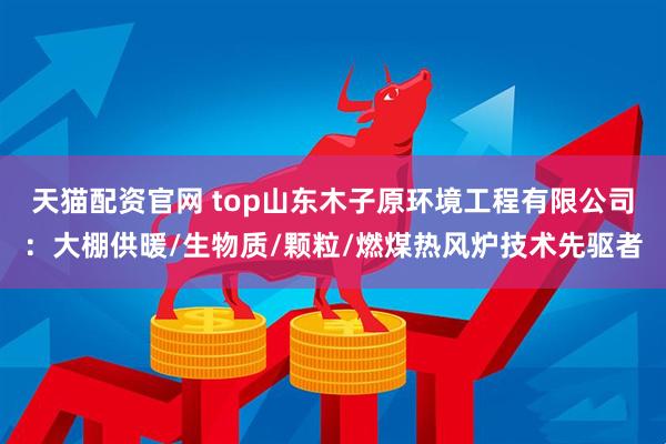 天猫配资官网 top山东木子原环境工程有限公司：大棚供暖/生物质/颗粒/燃煤热风炉技术先驱者