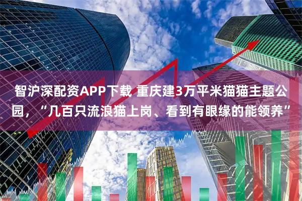 智沪深配资APP下载 重庆建3万平米猫猫主题公园，“几百只流浪猫上岗、看到有眼缘的能领养”